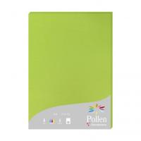 Clairefontaine Pollen Druckerpapier A4 (210x297 mm) 25 Blätter Grün