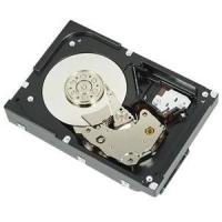DELL NPOS - to be sold with Server only - 1TB 7.2K RPM SATA 6Gbps 512n 3.5in Cabled Hard Drive