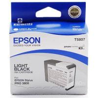 Epson Singlepack Light Black T580700
