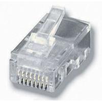 Equip RJ45 Modular Stecker Für Flachkabel