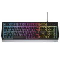 GENESIS RHOD 300 RGB Tastatur Gaming USB Schwarz