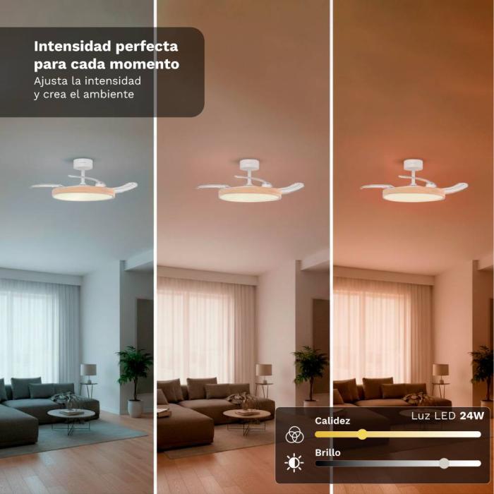 Produkt 5 Bild