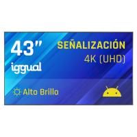 iggual IGG321157 Signage-Display Digital Signage Flachbildschirm 109,2 cm (43'') WLAN 1500 cd/m² 4K Ultra HD Schwarz Eingebauter Prozessor Android 14