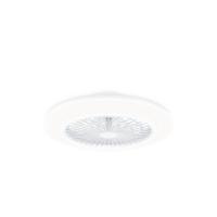 Philips Amigo Deckenventilator mit Beleuchtung, 60+25 W