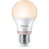 Philips Lampe 60 W; A60, E27