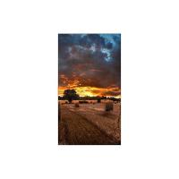 Produkt 6 Bild