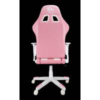 Produkt 4 Bild
