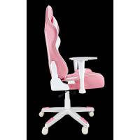 Produkt 3 Bild