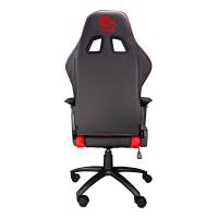 Produkt 4 Bild