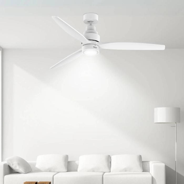 Produkt 6 Bild