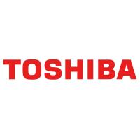 Toshiba Bulk X300 Prfmnc Hard Drive 6TB 512MB Interne Festplatte
