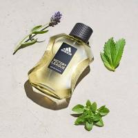 Product 6 image