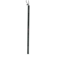 APC Basic Rack PDU Black power distribution unit (PDU)