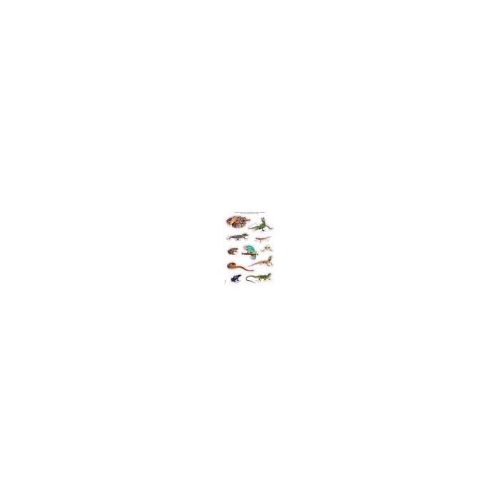 Product 1 image