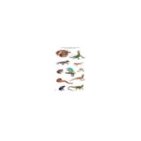APLI 17633 decorative sticker