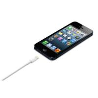 Product 4 image