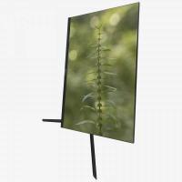 Product 2 image