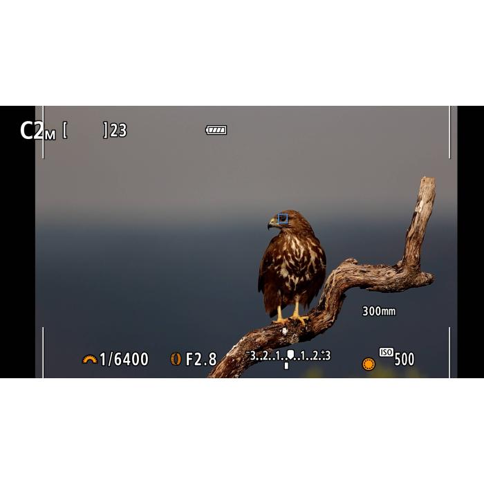 Product 6 image
