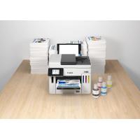 Product 41 image