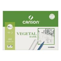 Canson Vegetal Basik Art paper 12 sheets