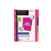 CARCHIVO 49050699 divider Polypropylene (PP) Multicolour