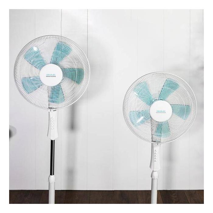 Product 6 image