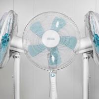 Product 5 image