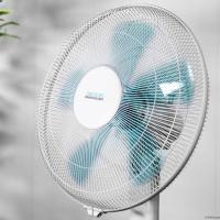 Product 4 image