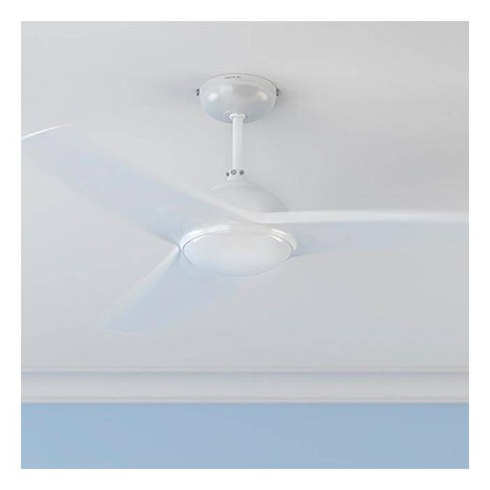 Product 4 image