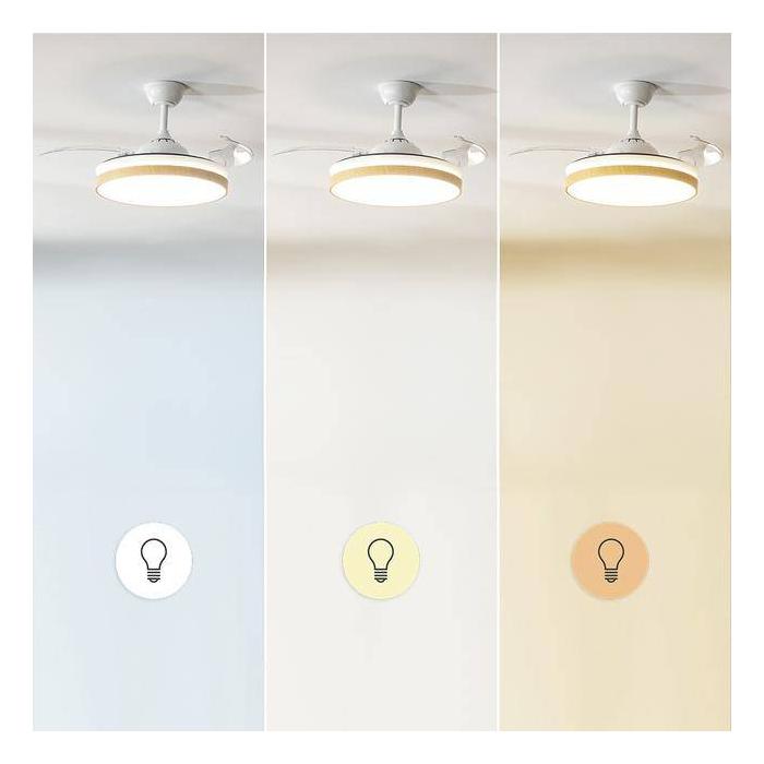 Product 8 image