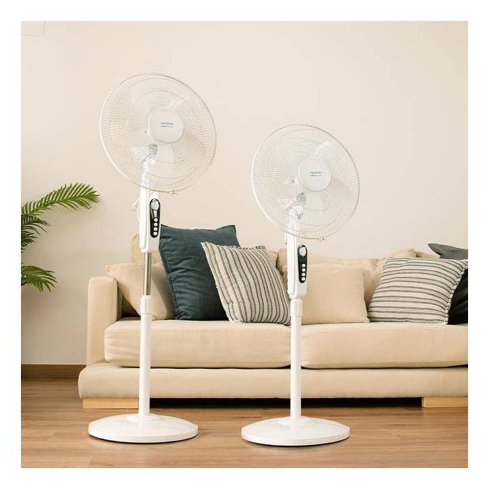 Product 16 image