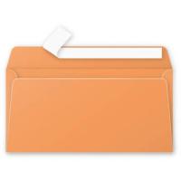 Clairefontaine 5495C envelope DL (110 x 220 mm) Orange 20 pc(s)