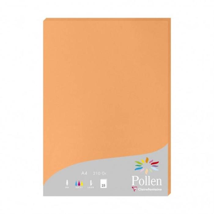 Product 1 image