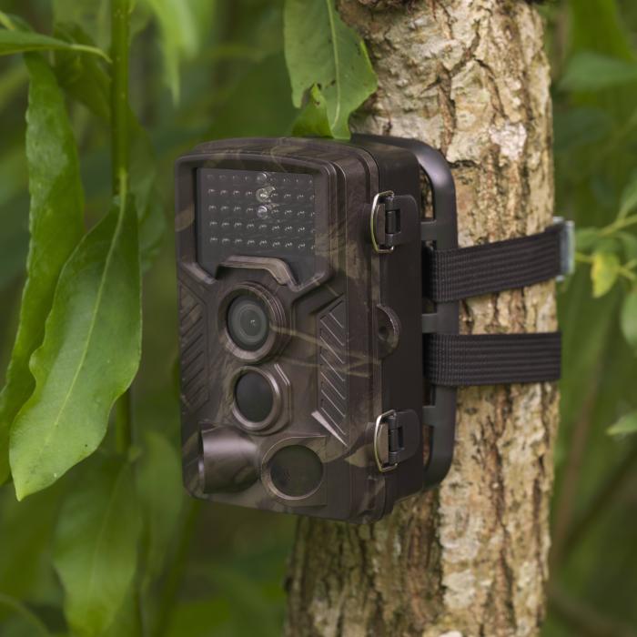Product 2 image