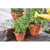 Product 7 image