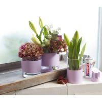 Product 3 image
