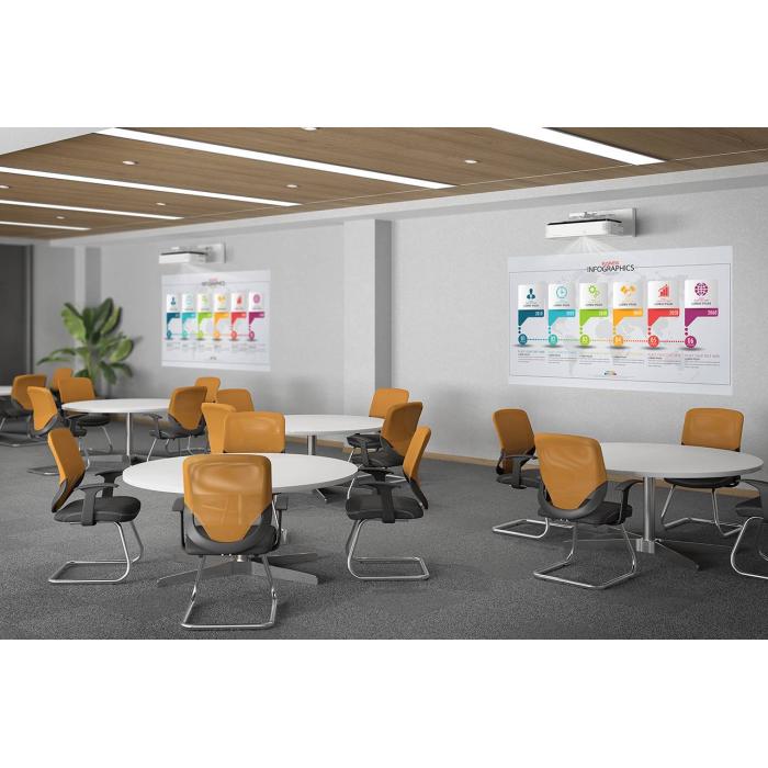 Product 12 image