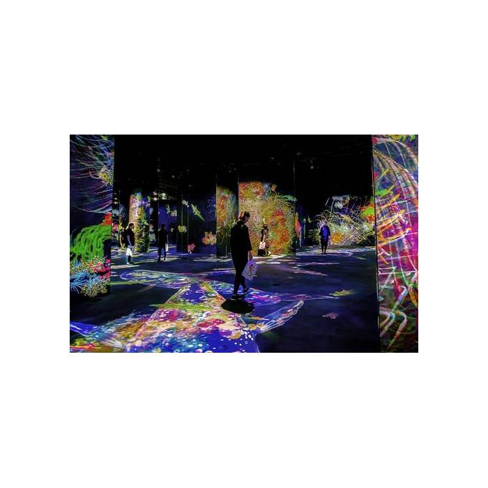 Product 4 image