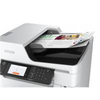 Product 41 image