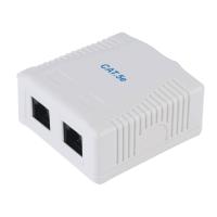 Equip 2-Port Cat.5e Surface Mount Box