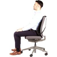 Fellowes Back Support for Office Chair - Professional Series Mesh Office Chair Back Support - Easy To Attach - H19.53 x, view image 5 of 5