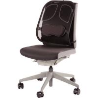 Fellowes Back Support for Office Chair - Professional Series Mesh Office Chair Back Support - Easy To Attach - H19.53 x, view image 2 of 5
