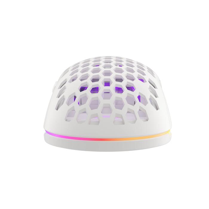 Product 13 image