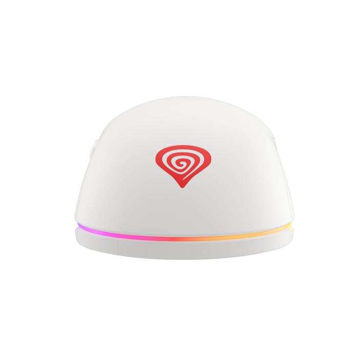 Product 12 image