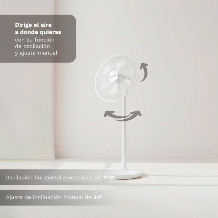 Product 12 image