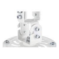 Product 4 image