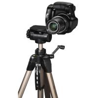 Product 7 image