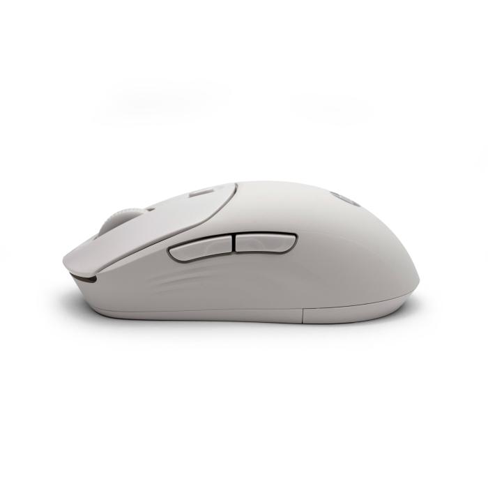 Product 23 image