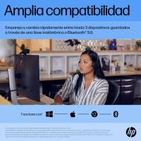 Product 16 image