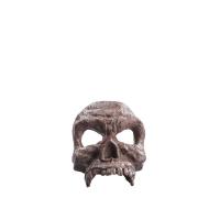 Product 2 image